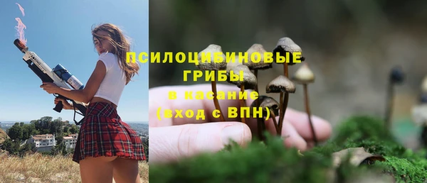 прущие крисы Михайловск
