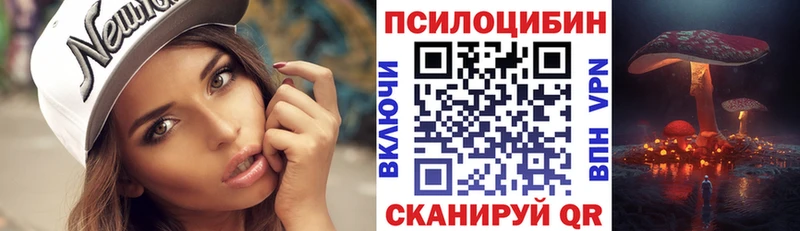 гидра ТОР  Новоалександровск  Псилоцибиновые грибы Psilocybe 